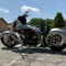 Gavin.FT450