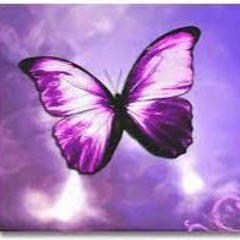 PurpleButterfly