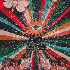 O Guia definitivo do Psytrance !