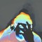 hippie witadrum