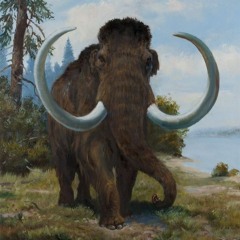 Mammuthus