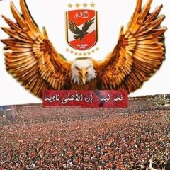 Tamer amir diad