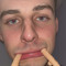 warndog