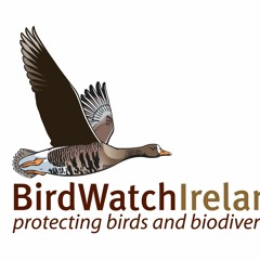 BirdWatch Ireland