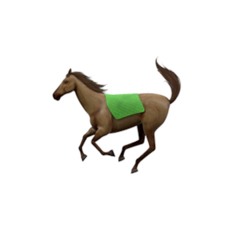 𝐉𝐀𝐒𝐇𝐀𝐍 𝐒𝐀𝐈𝐍𝐈