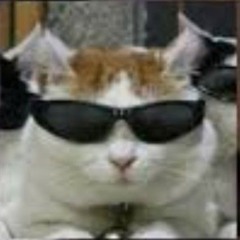 круто быть тупым