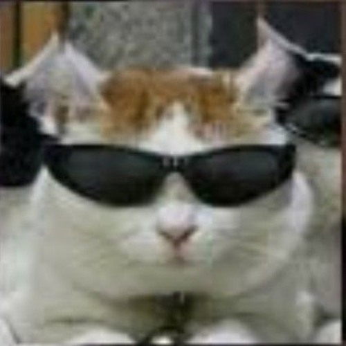 круто быть тупым