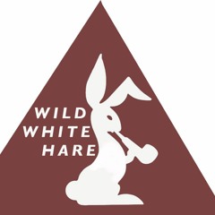 Wild White Hare