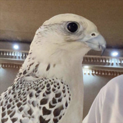 بـٌو حـًٓ مْــي ـد