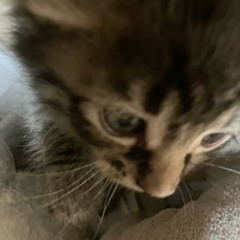 zZ