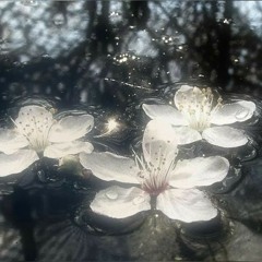 nomoreslavingawayatthebugfactory