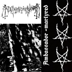 Ambassador