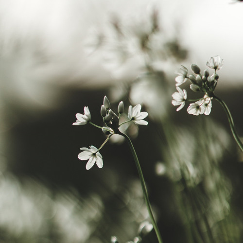 张哲瀚 Zhang Zhe Han - 在晴朗的日子裡歌唱 (Singing On A Clear Sky)