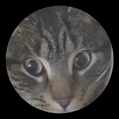 -stare-