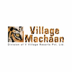 Village Machaan Resorts
