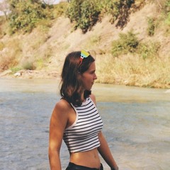 Le bouquetin dans la montagne