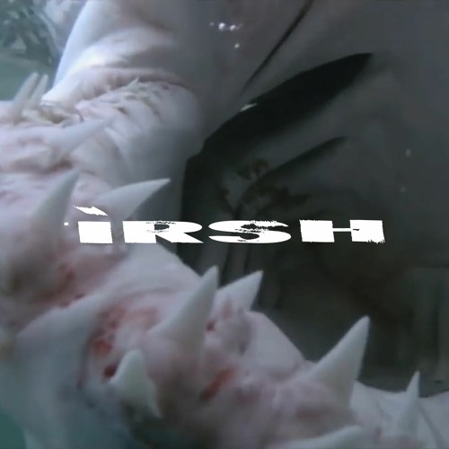 irsh’s avatar