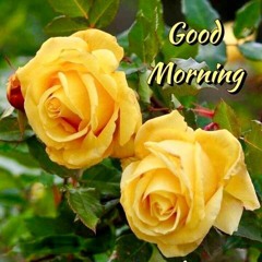 Harminder Singh