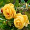 Harminder Singh