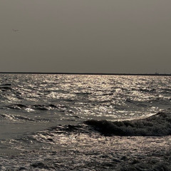 hoor alnaqbi