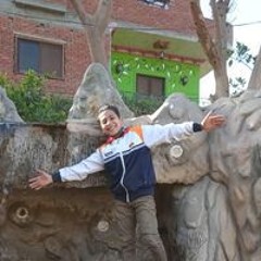 محمد محمود محمدمحمود