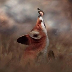 []|silence|[]