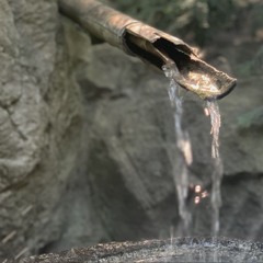 RainPond