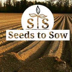 Seeds to Sow