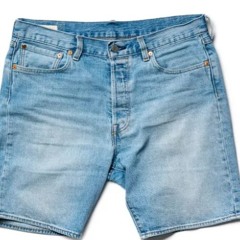 jorts