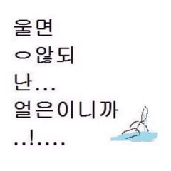 응애