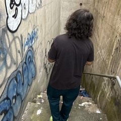 Reverse Rican