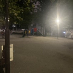 リリィ。