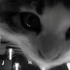 直升机划破天空