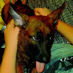 Mazarain
