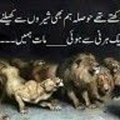 ❤️❤️Sajaawal Shah Ki Pesho ❤️❤️