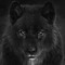 WanderWolf