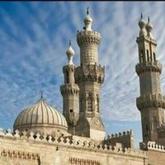 مصطفى شنيشن