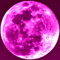 Pink Moon