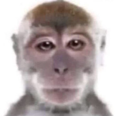 trollfacebroXD