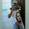 pedro henrique