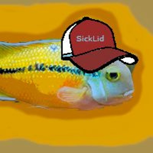 SickLid’s avatar