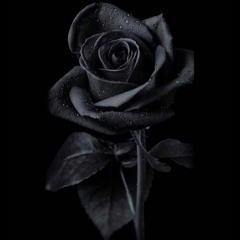 WitheredRose