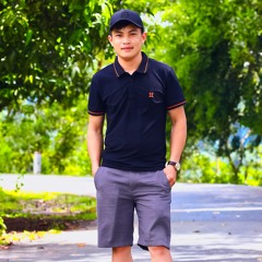 viet lam nguyen