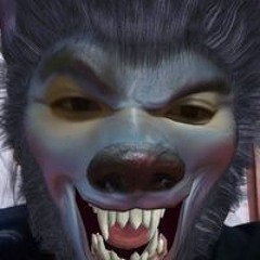 dungdat