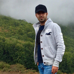 Mahdi Mohseni