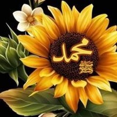 Gehad Fahim