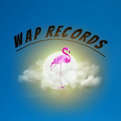 Wap Records