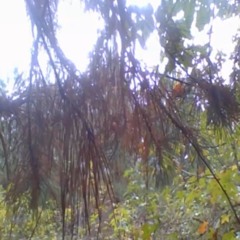 cryface razorblades stuck in my arm