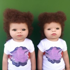 Usomitaina Twins PawPaw Factory