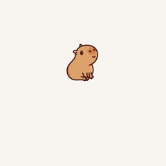 piloucapy